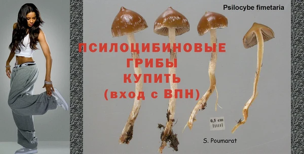 гидропоника Богородицк