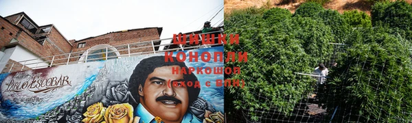 тгк Богородск