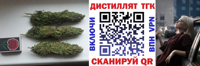 ТГК Wax  Вязьма 