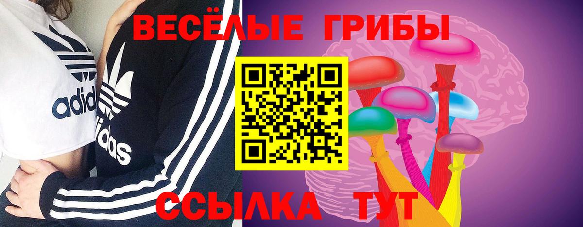 Галлюциногенные грибы Psilocybe Вязьма