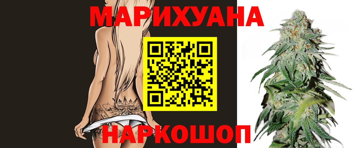 Бошки Шишки план Вязьма